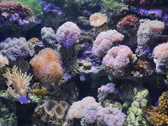 -锦艺城海洋馆