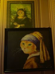 -疯狂冒险家-亲子密室-东坝店(金隅嘉品店)