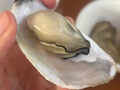 -坛南湾阿强农家乐.海鲜大排档老字号(福州地标美食店)