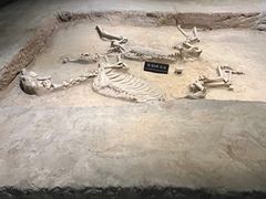 -洛阳周王城天子驾六博物馆