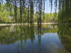 -洛阳市隋唐城遗址植物园