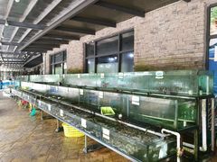 鱼池-钱大妈海鲜饭店(保利林语店)