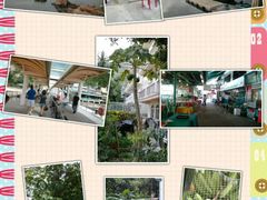 android_upload_pic-南丫岛