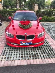 -蚂蚁婚车