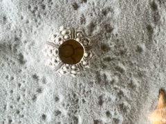 -青岛贝壳博物馆