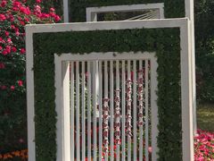 -人民公园(罗湖区)