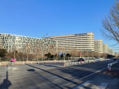 -首都医科大学附属北京天坛医院