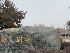 -张掖大佛寺景区