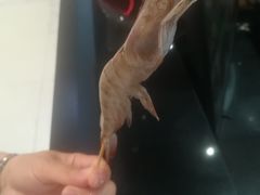 -龍歌自助小火锅(李沧丽达店)