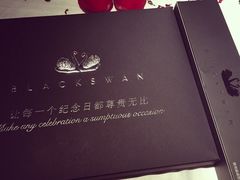 -BLACKSWAN黑天鹅(环球店)