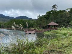 -海南热带雨林国家公园吊罗山景区