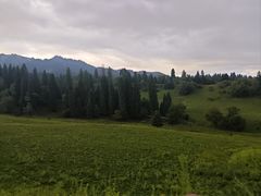 -新疆那拉提国家旅游度假区