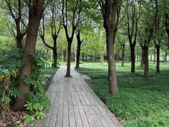 -嘉北郊野公园