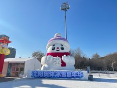 -沈阳奥体冰雪嘉年华