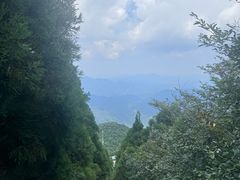 -江西阳明山国家森林公园