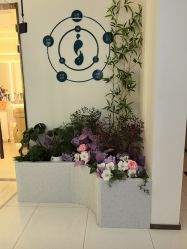 -头道汤头疗养生馆