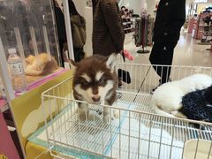-丽达购物中心(崂山店)