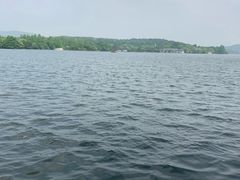 -西湖外事游船(花港观鱼码头)