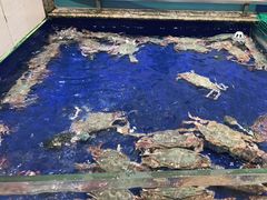 -高佳庄·舟山海鲜(海景旗舰店)