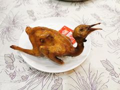 -有腥气私房菜·寻味顺德