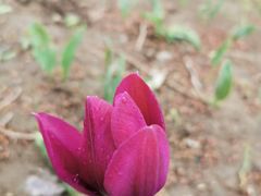 -长春公园(普阳街道)