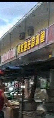 -煲来饱去冷水鱼