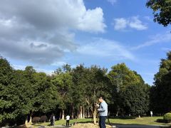 -九科绿洲