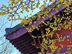 -钱王祠
