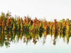 -白鹭湾湿地公园