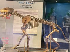 -北京周口店北京人遗址博物馆