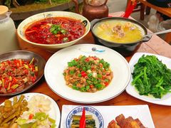 -青城甲(青城山店)