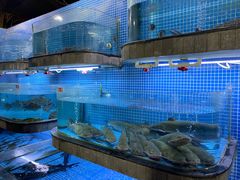 水产区-天怡·鱼工厂(临江店)