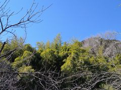 -四门塔风景区