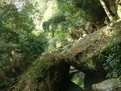 -桂山风景旅游区