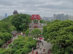 -黄鹤楼公园(黄鹤楼)