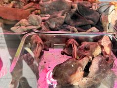 -洪记白水羊头(天坛店)