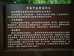 -大屏嶂森林公园