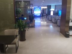 -郑州新郑国际机场T2航站楼-贵宾厅B区