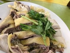 -霞海鸭仔饭店(海滨大道北店)