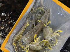 -阿拉斯加·海货(马王堆店)