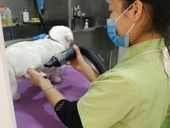 -芭比堂动物医院·24小时·眼科中心(深圳中心)