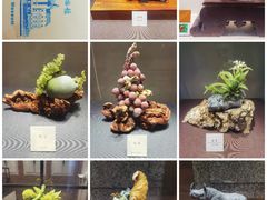 -大连自然博物馆
