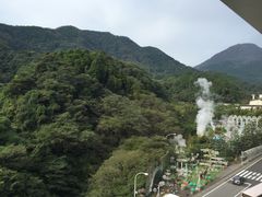 390-别府杉乃井酒店