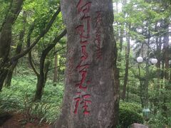 -庐山风景区花径公园