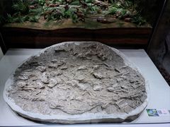 -辽宁古生物博物馆