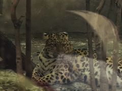 -成都动物园