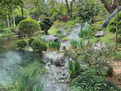-东莞植物园