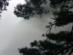 -秦岭天竺山景区