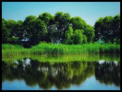 -西湖风景区-江洋畈生态公园