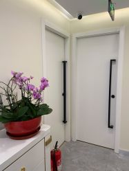 -海涛医疗美容·面部抗衰·注射美鼻